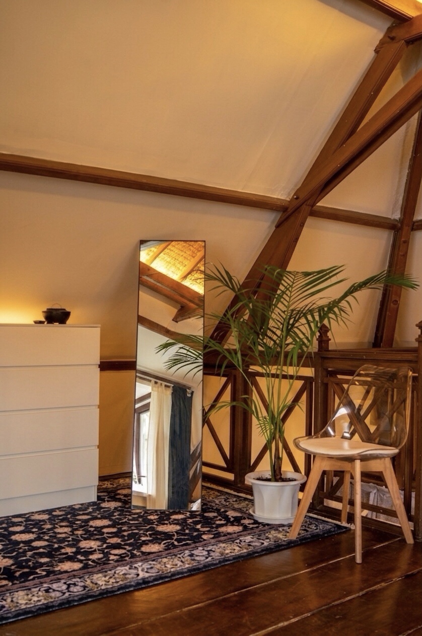 Loft corner with standing mirror and palm